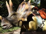 Dinosaur safari in woodland theme park 